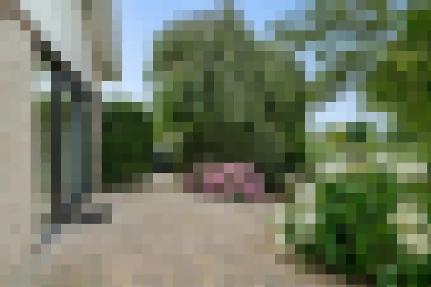 Dopheide 39 Heerenveen thumbnail 53