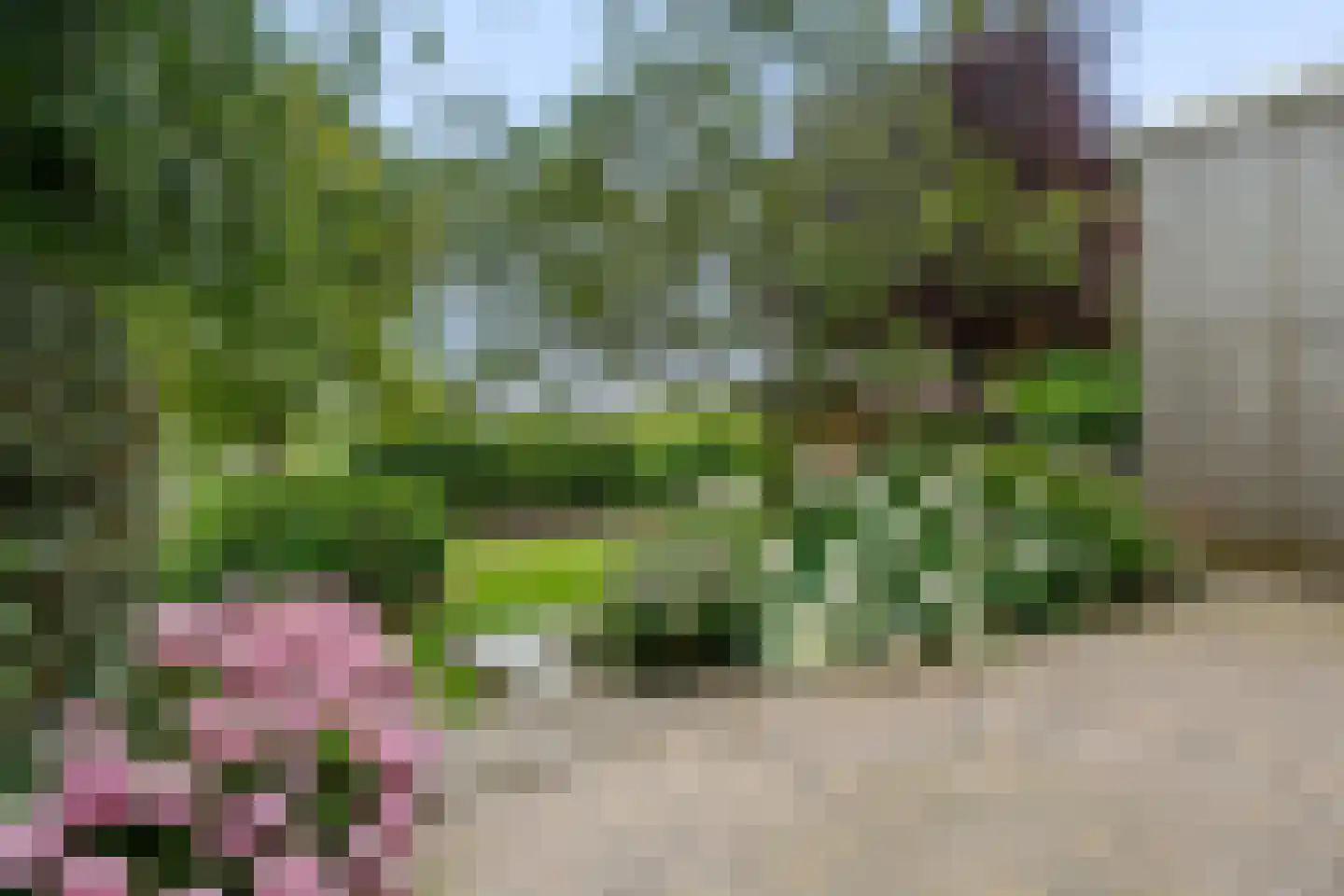 Dopheide 39 Heerenveen thumbnail 54