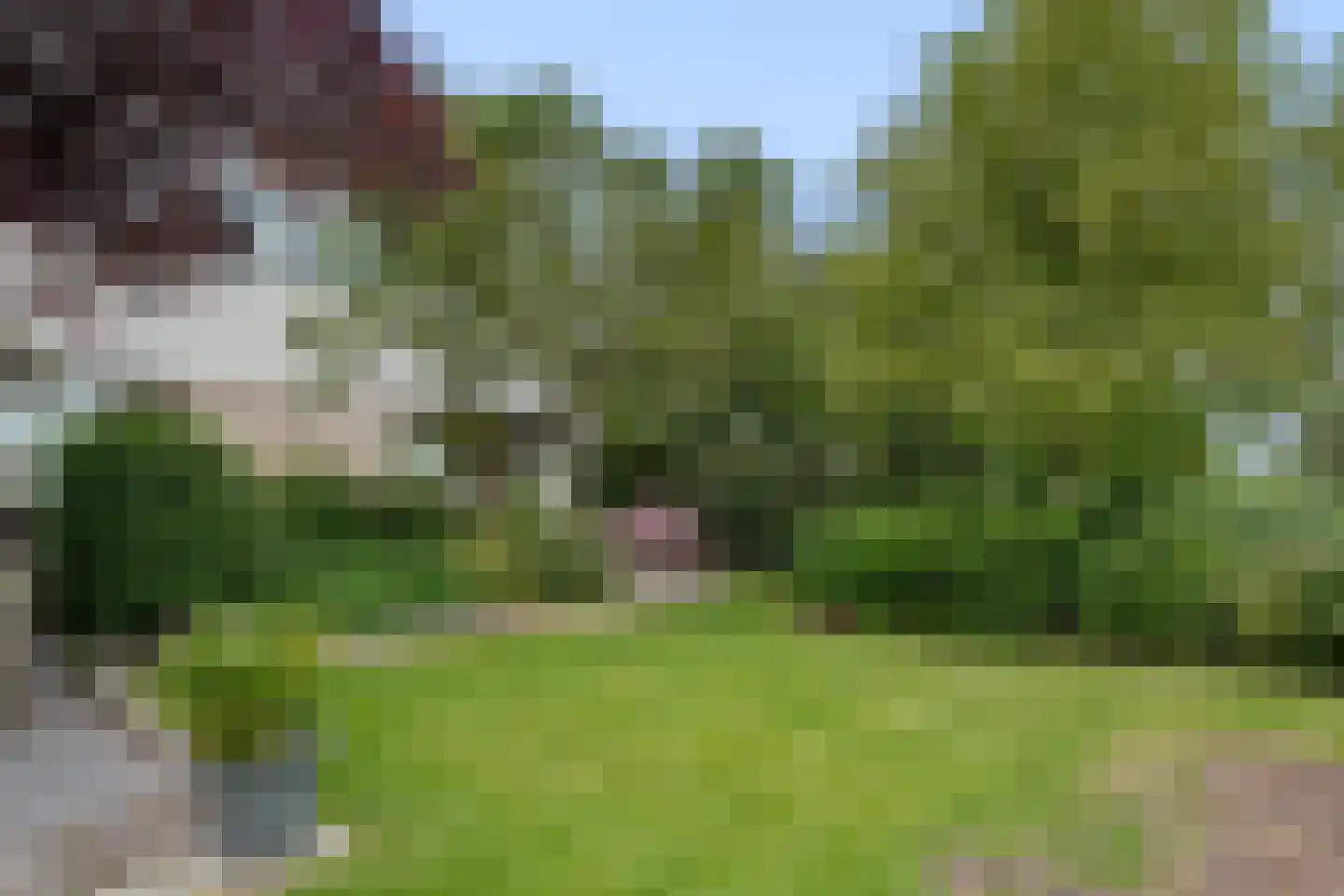 Dopheide 39 Heerenveen thumbnail 57