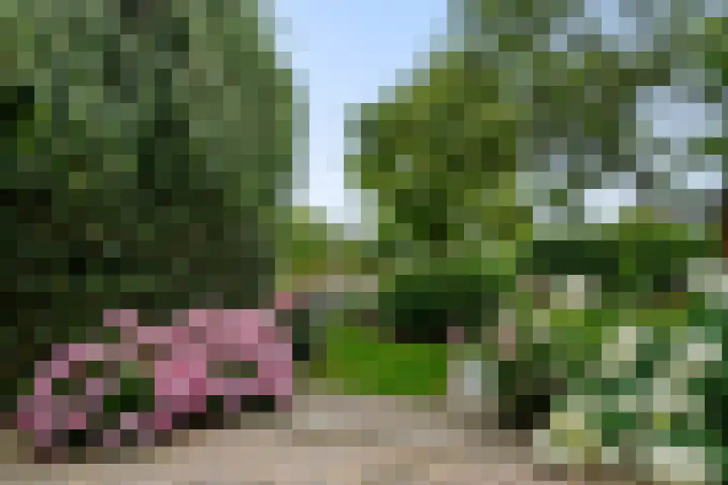 Dopheide 39 Heerenveen thumbnail 58