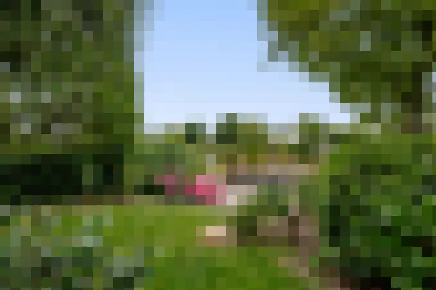 Dopheide 39 Heerenveen thumbnail 59