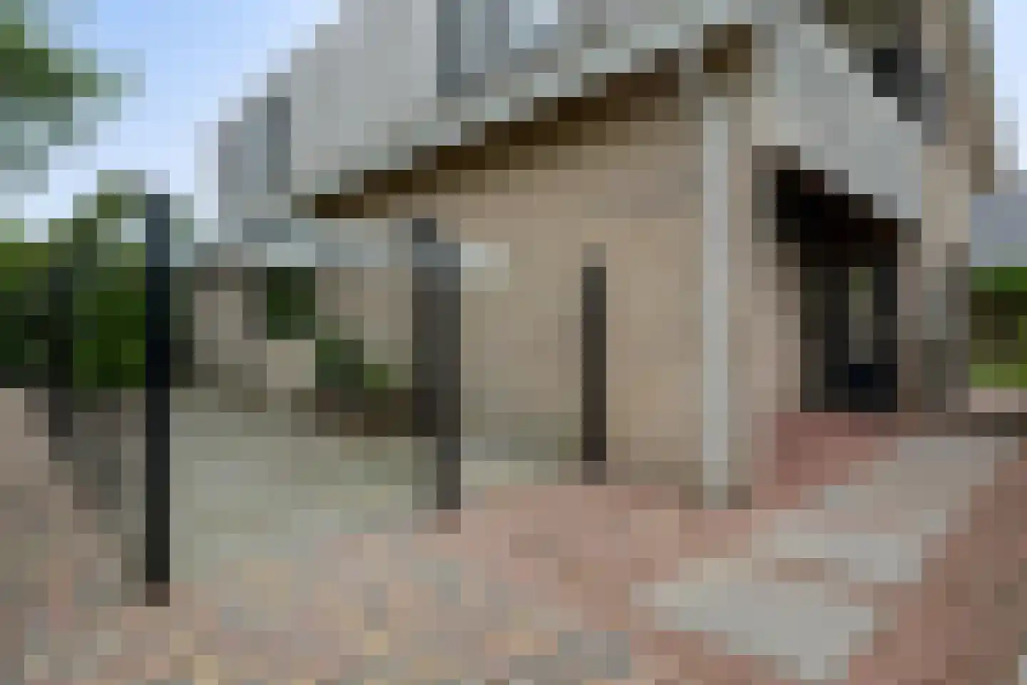 Dopheide 39 Heerenveen thumbnail 61