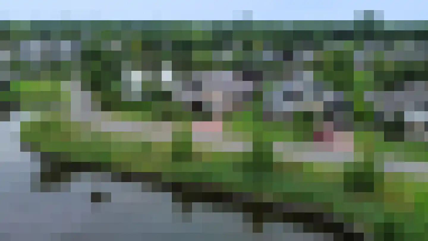 Dopheide 39 Heerenveen thumbnail 62
