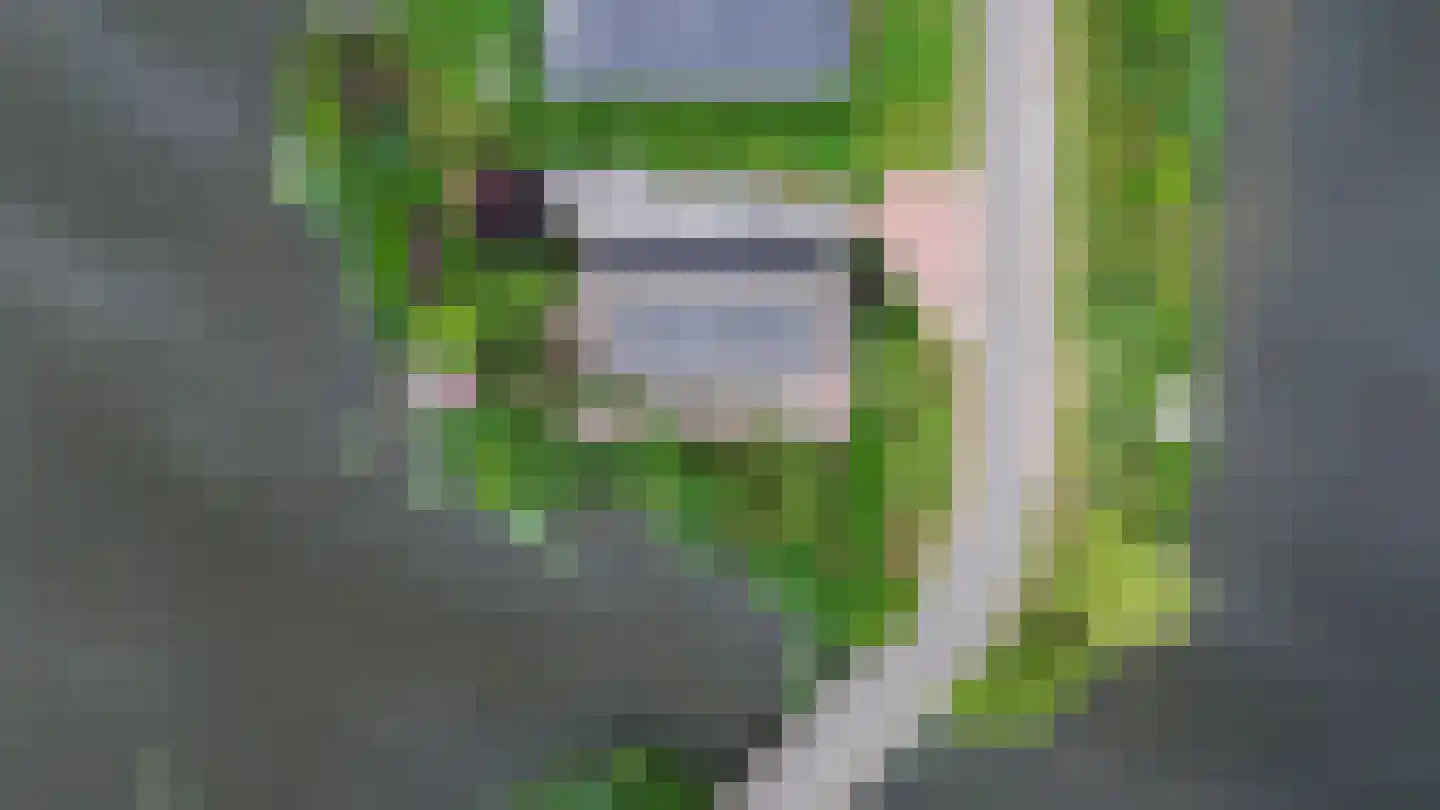 Dopheide 39 Heerenveen thumbnail 66