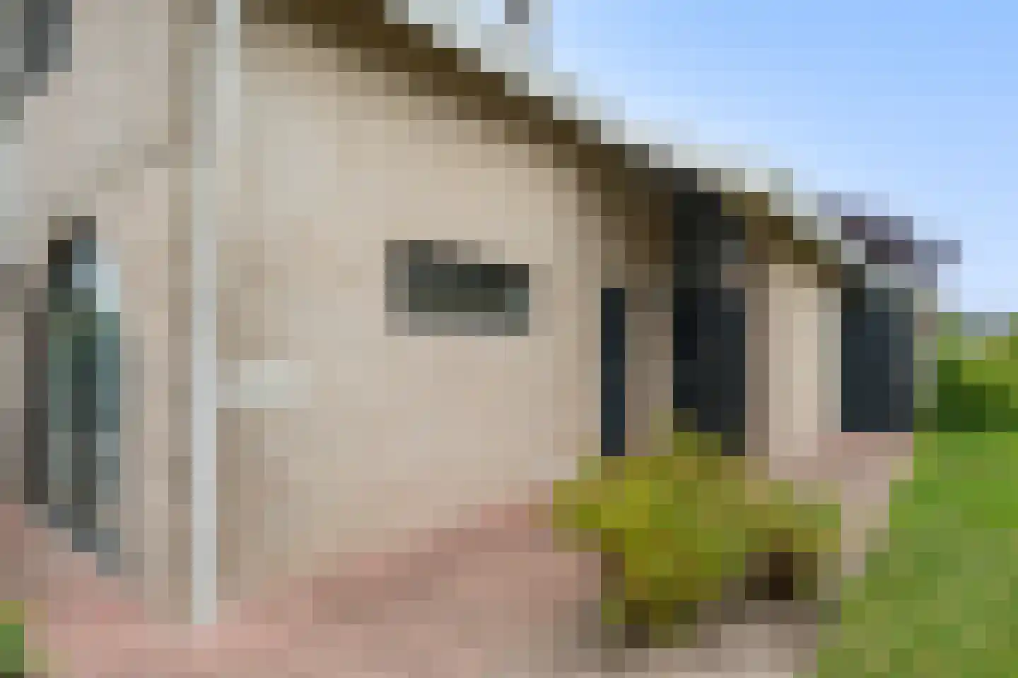 Dopheide 39 Heerenveen thumbnail 7