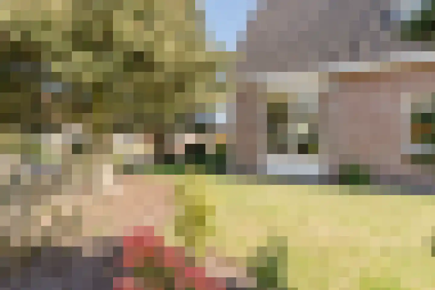 Dopheide 4 Bovensmilde thumbnail 21