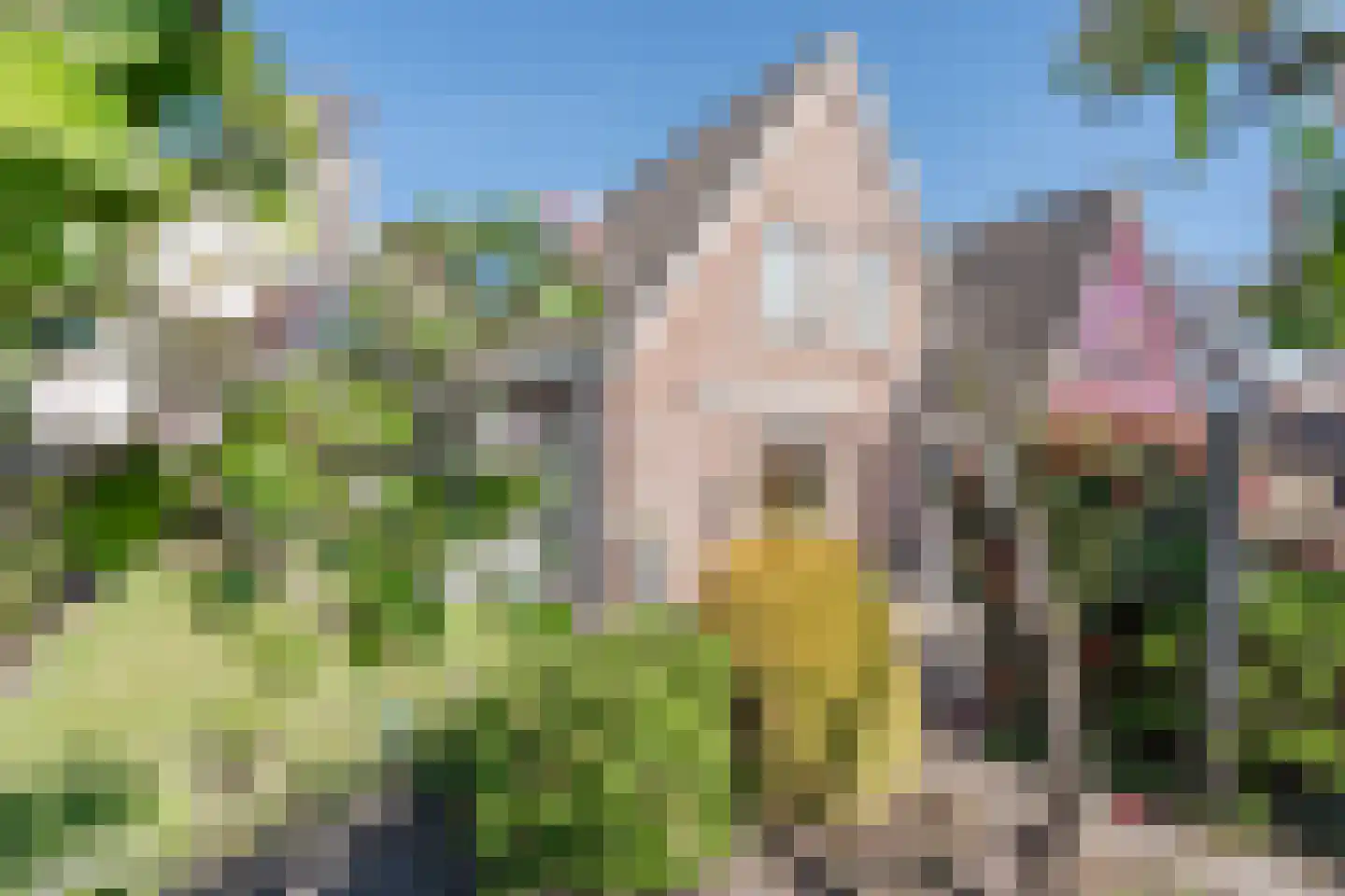 Dopheide 4 Bovensmilde thumbnail 24