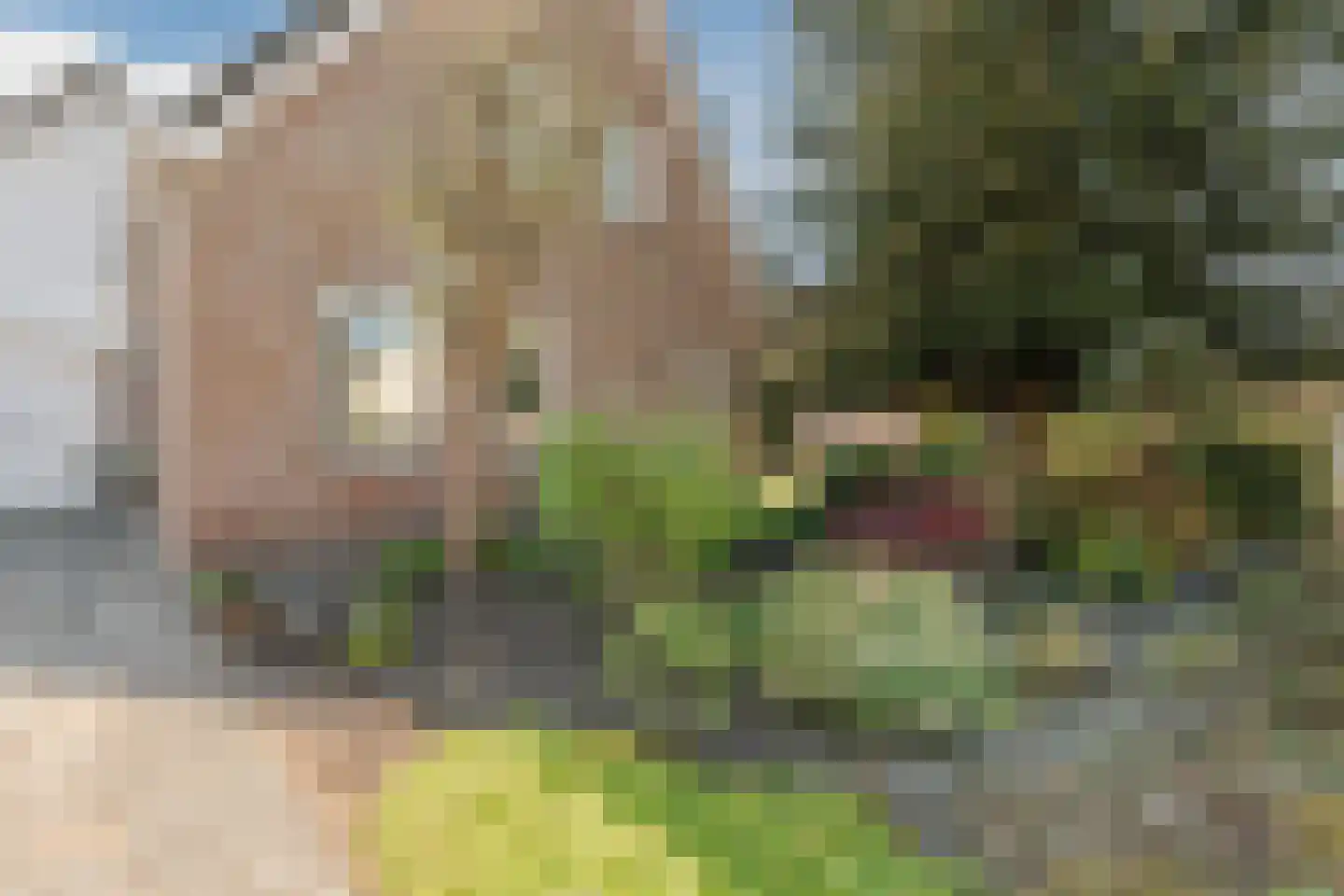 Dopheide 4 Bovensmilde foto 3
