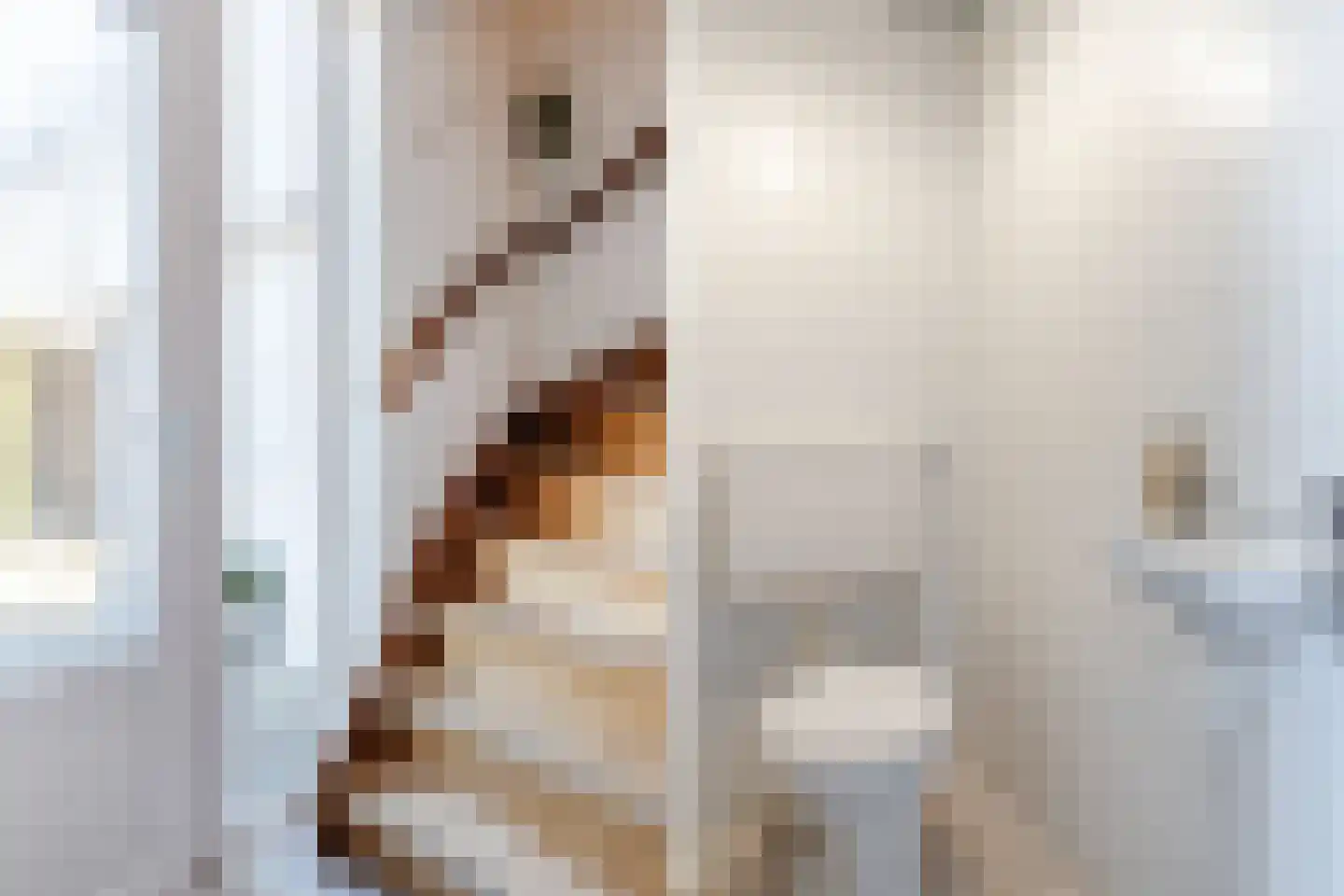 Dopheide 4 Bovensmilde thumbnail 5