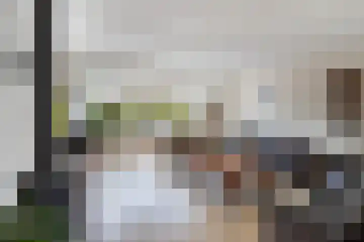 Dopheide 4 Wolvega thumbnail 10