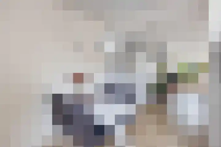 Dopheide 4 Wolvega thumbnail 11