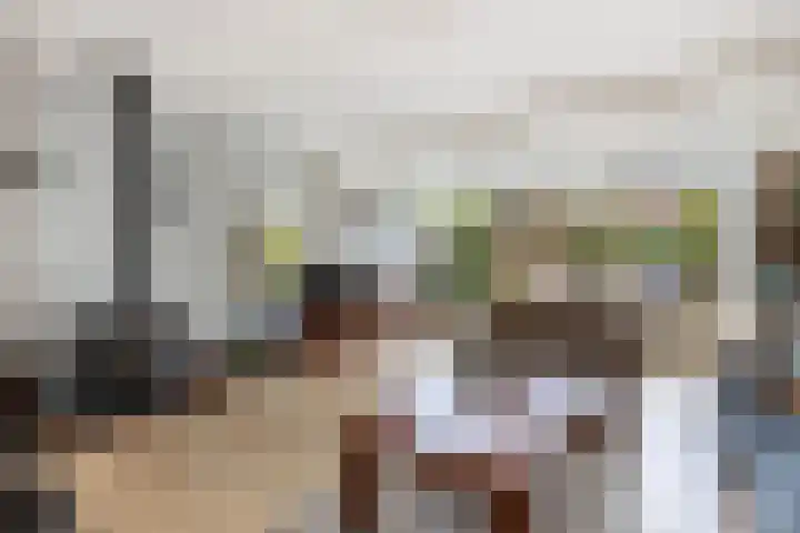 Dopheide 4 Wolvega thumbnail 12