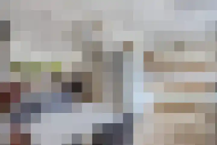 Dopheide 4 Wolvega thumbnail 15