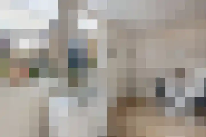 Dopheide 4 Wolvega thumbnail 16