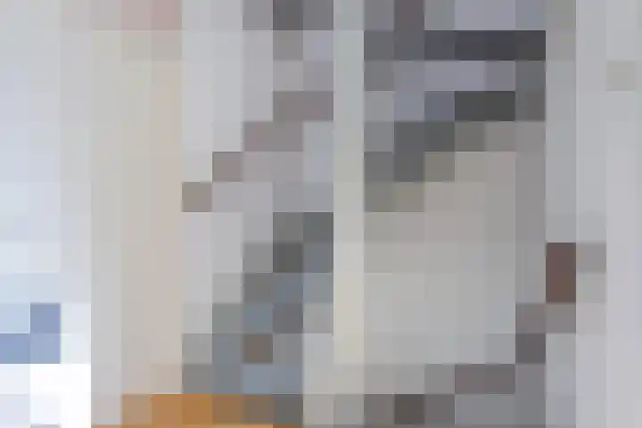 Dopheide 4 Wolvega thumbnail 21