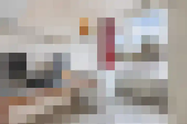 Dopheide 4 Wolvega thumbnail 26