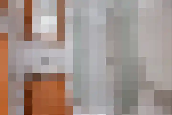Dopheide 4 Wolvega thumbnail 27
