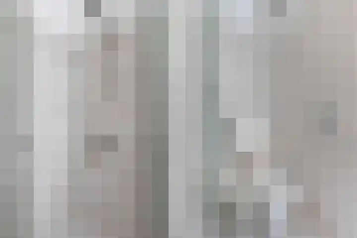 Dopheide 4 Wolvega thumbnail 28