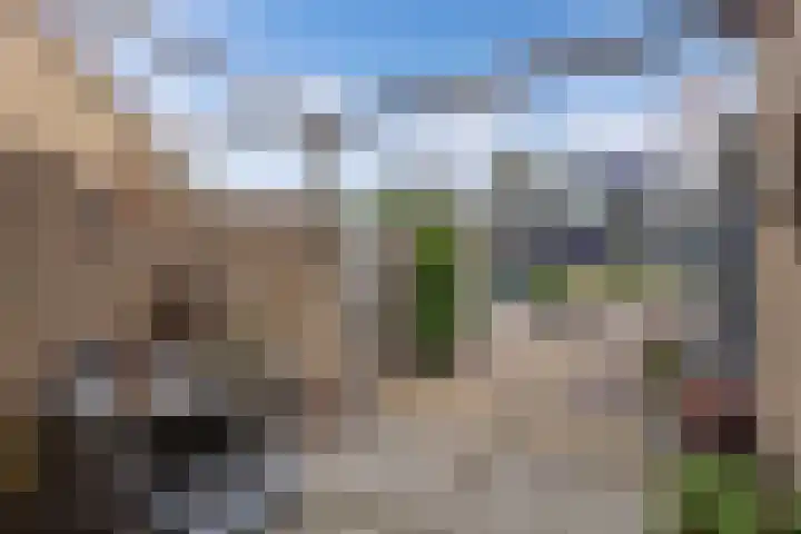 Dopheide 4 Wolvega thumbnail 4