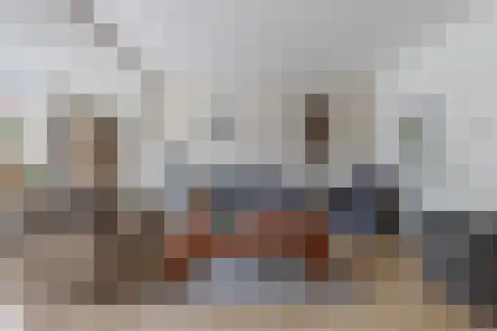 Dopheide 4 Wolvega thumbnail 5