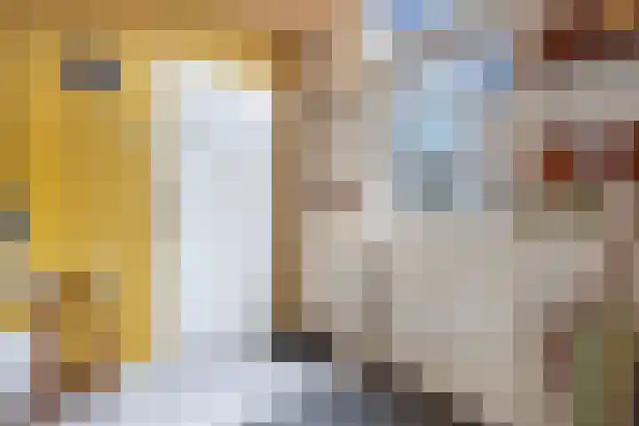 Dopheide 4 Wolvega thumbnail 6