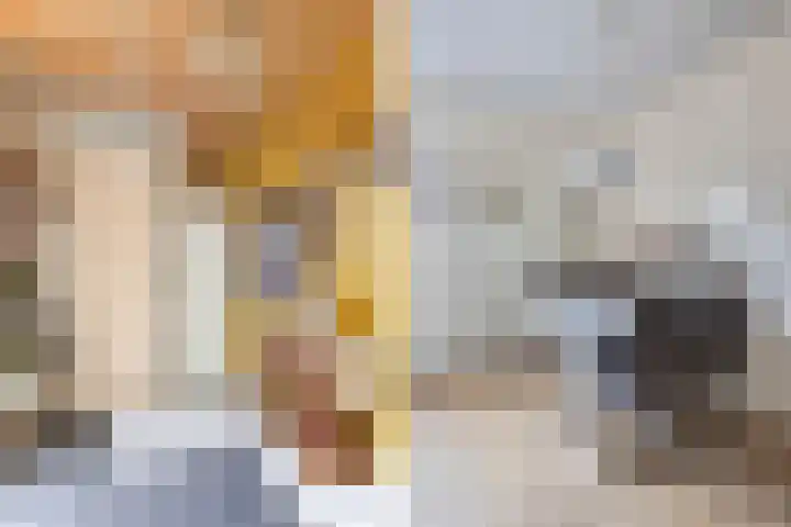 Dopheide 4 Wolvega thumbnail 8
