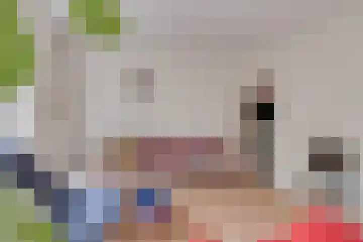 Dopheide 5 Eindhoven thumbnail 12
