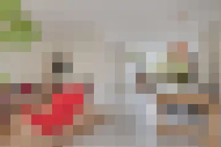 Dopheide 5 Eindhoven thumbnail 13