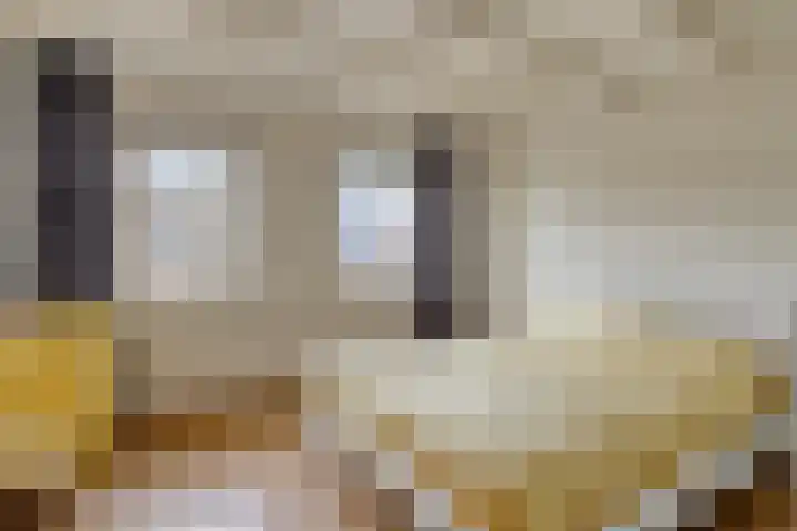 Dopheide 5 Eindhoven thumbnail 25
