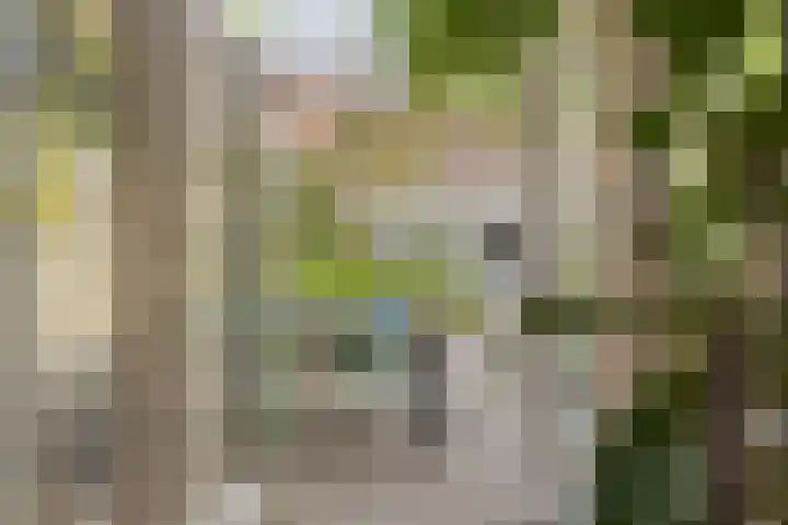 Dopheide 5 Eindhoven thumbnail 29