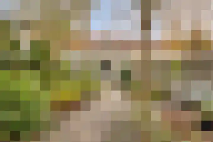 Dopheide 5 Eindhoven thumbnail 30