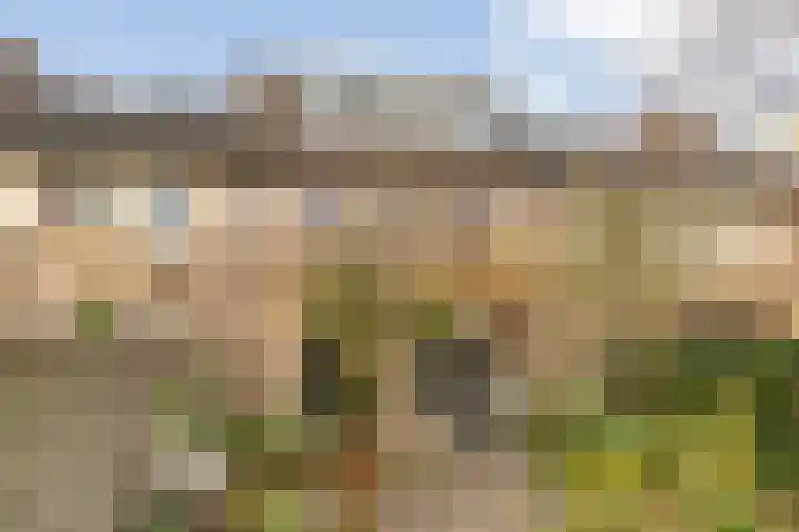 Dopheide 5 Eindhoven thumbnail 31