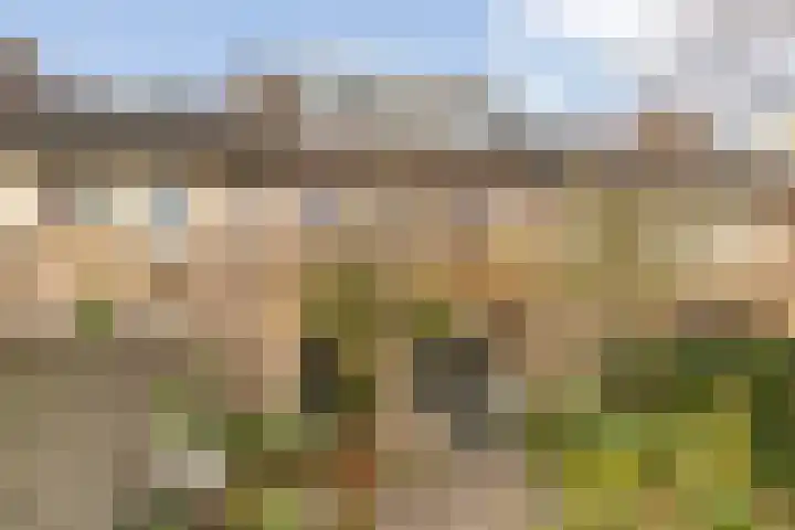 Dopheide 5 Eindhoven thumbnail 6