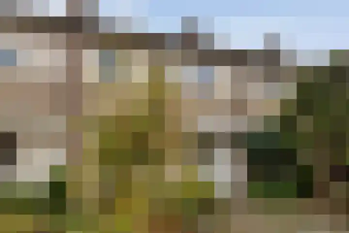 Dopheide 5 Eindhoven thumbnail 7