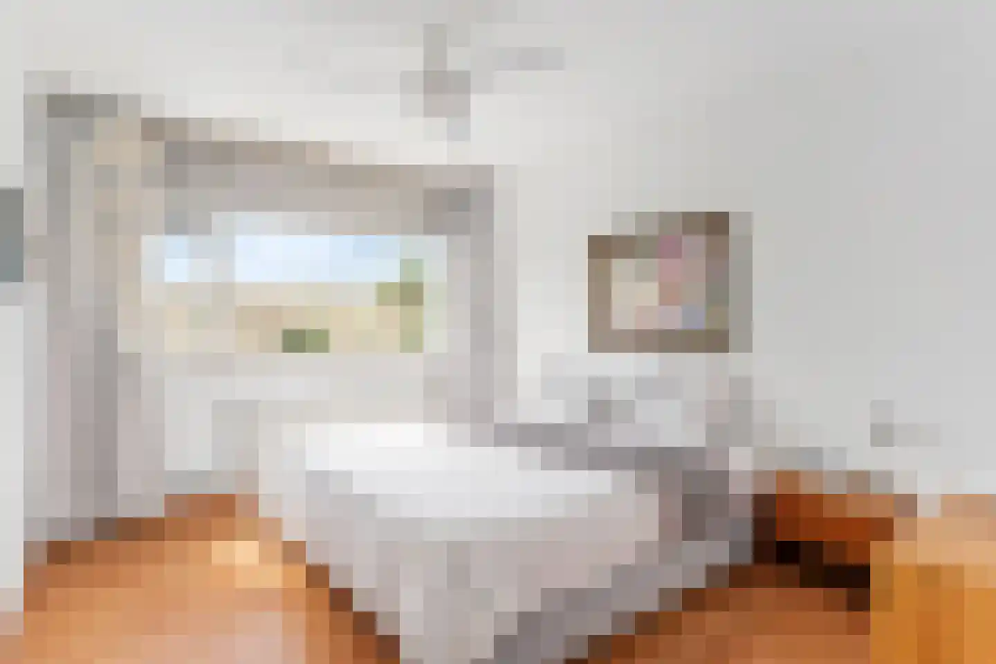 Dopheide 6 Amersfoort thumbnail 26
