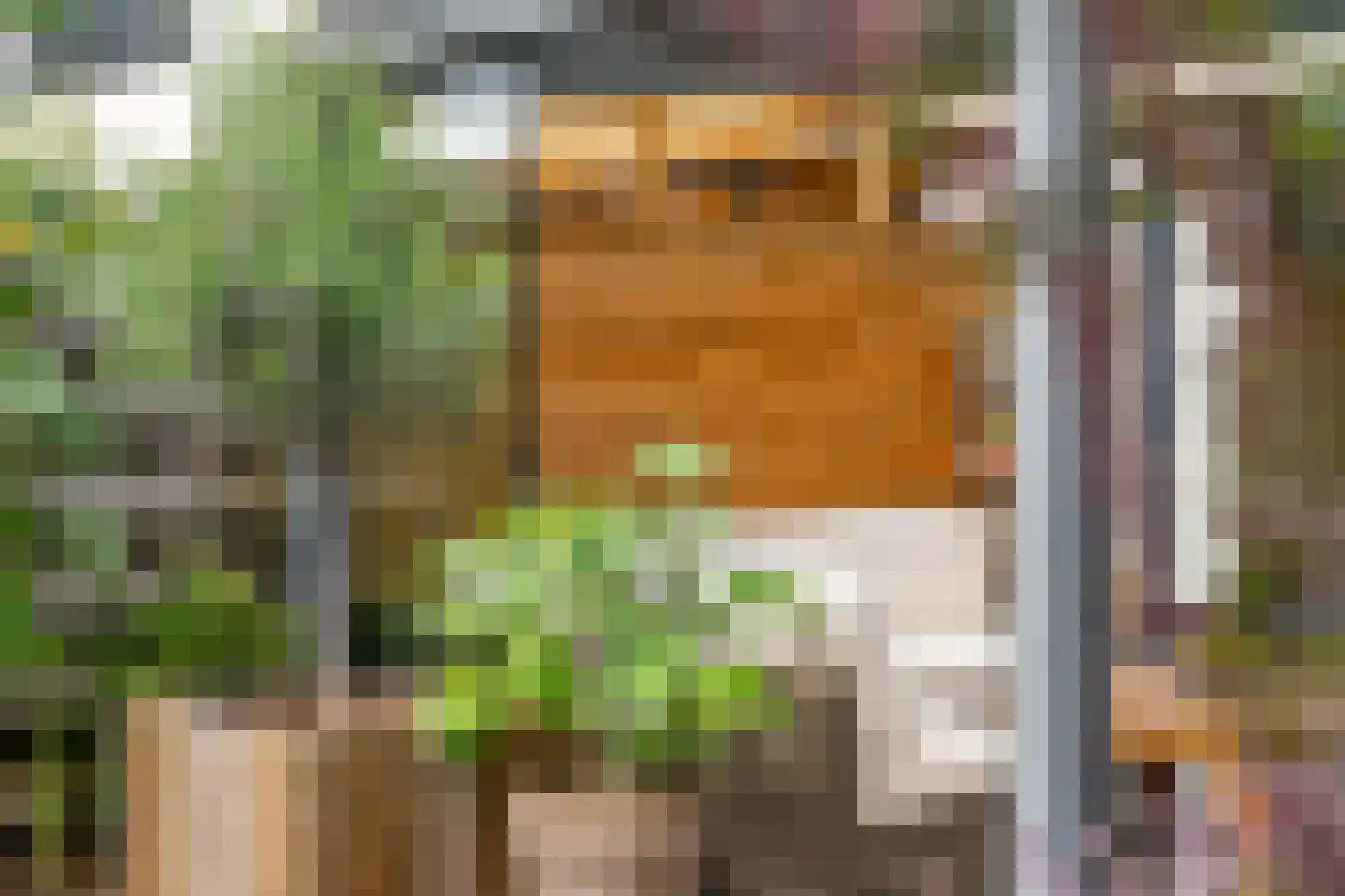 Dopheide 6 Amersfoort thumbnail 39