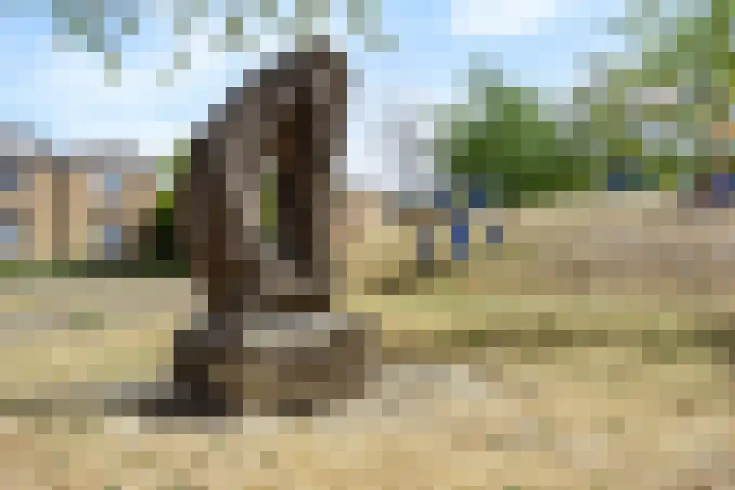 Dopheide 6 Amersfoort thumbnail 46