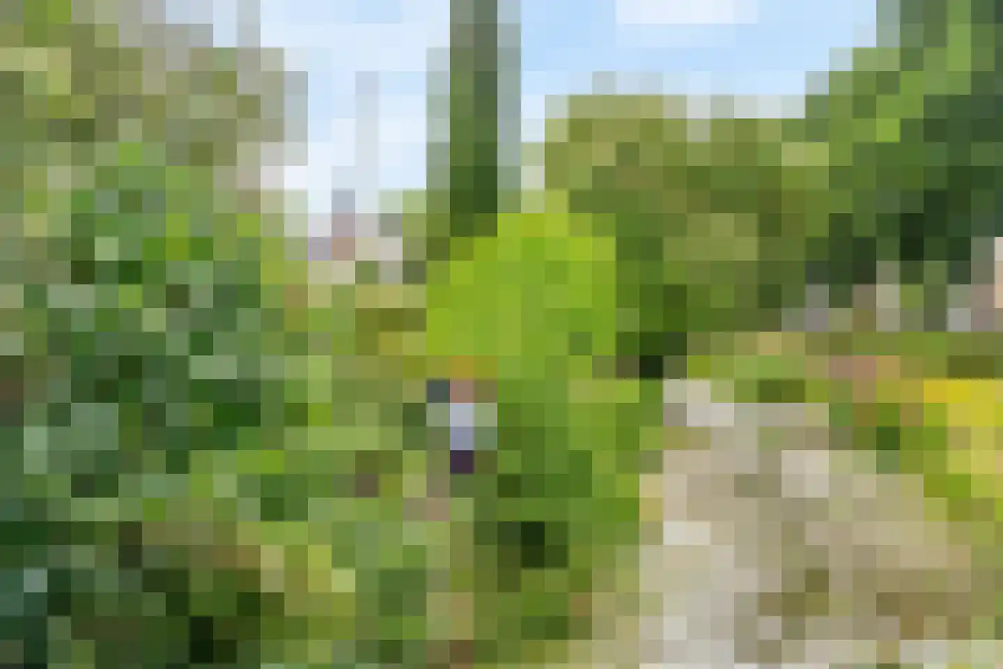 Dopheide 6 Amersfoort thumbnail 47