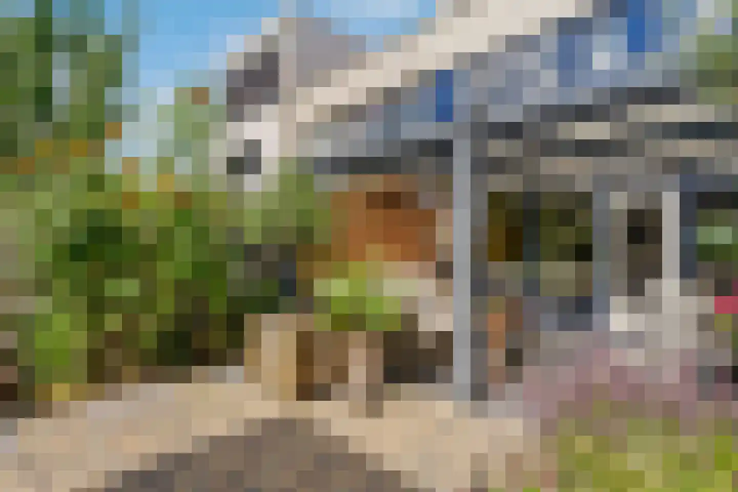 Dopheide 6 Amersfoort thumbnail 6