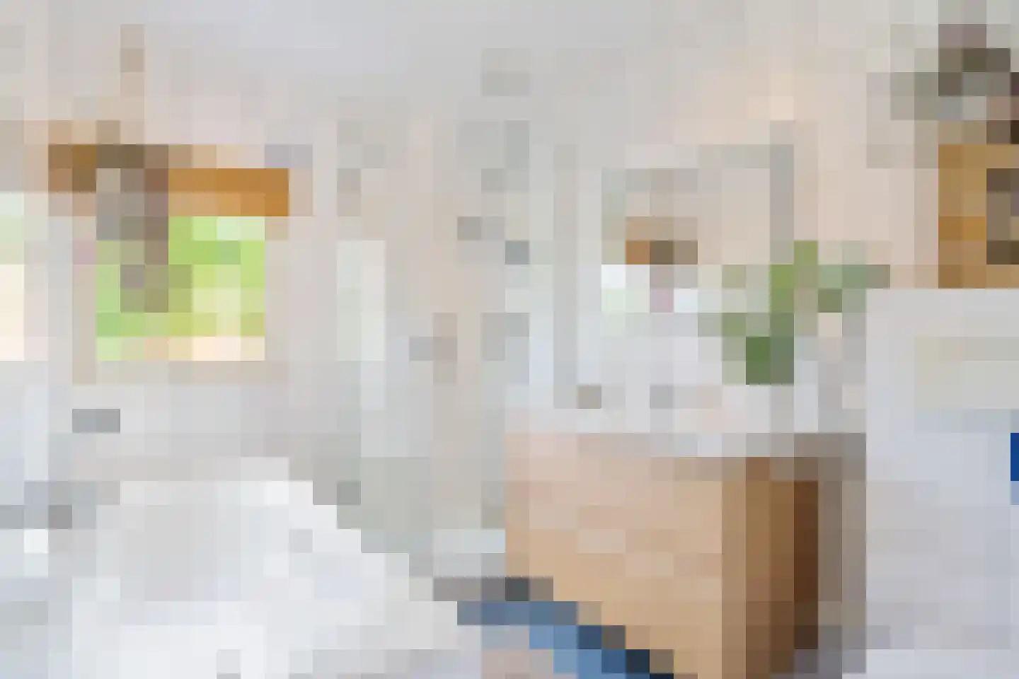 Dopheide 6 Amersfoort thumbnail 7