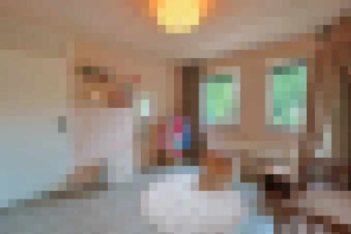 Dopheide 6 Eindhoven thumbnail 34