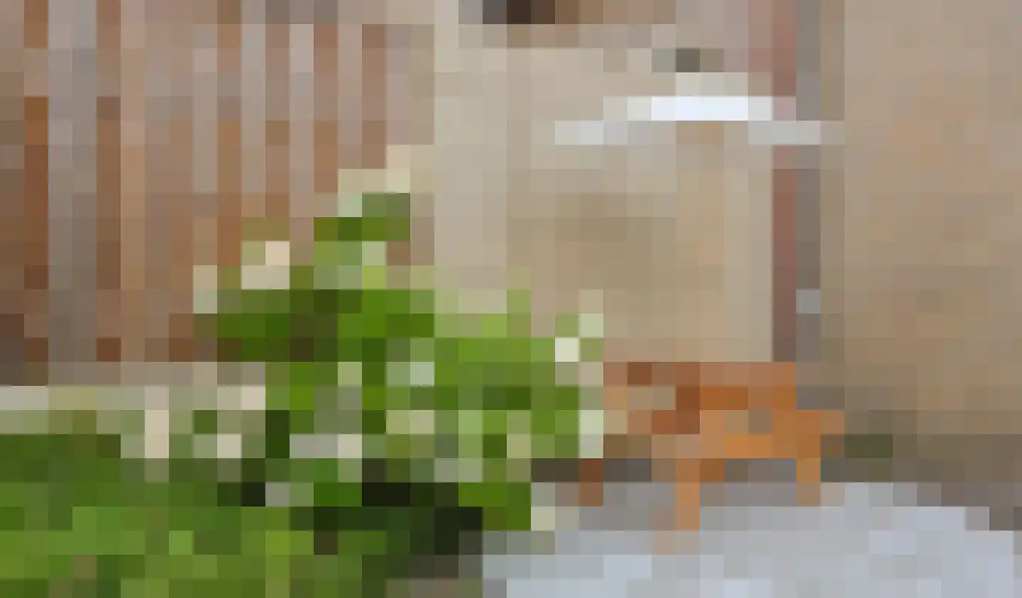 Dopheide 6 Eindhoven thumbnail 45
