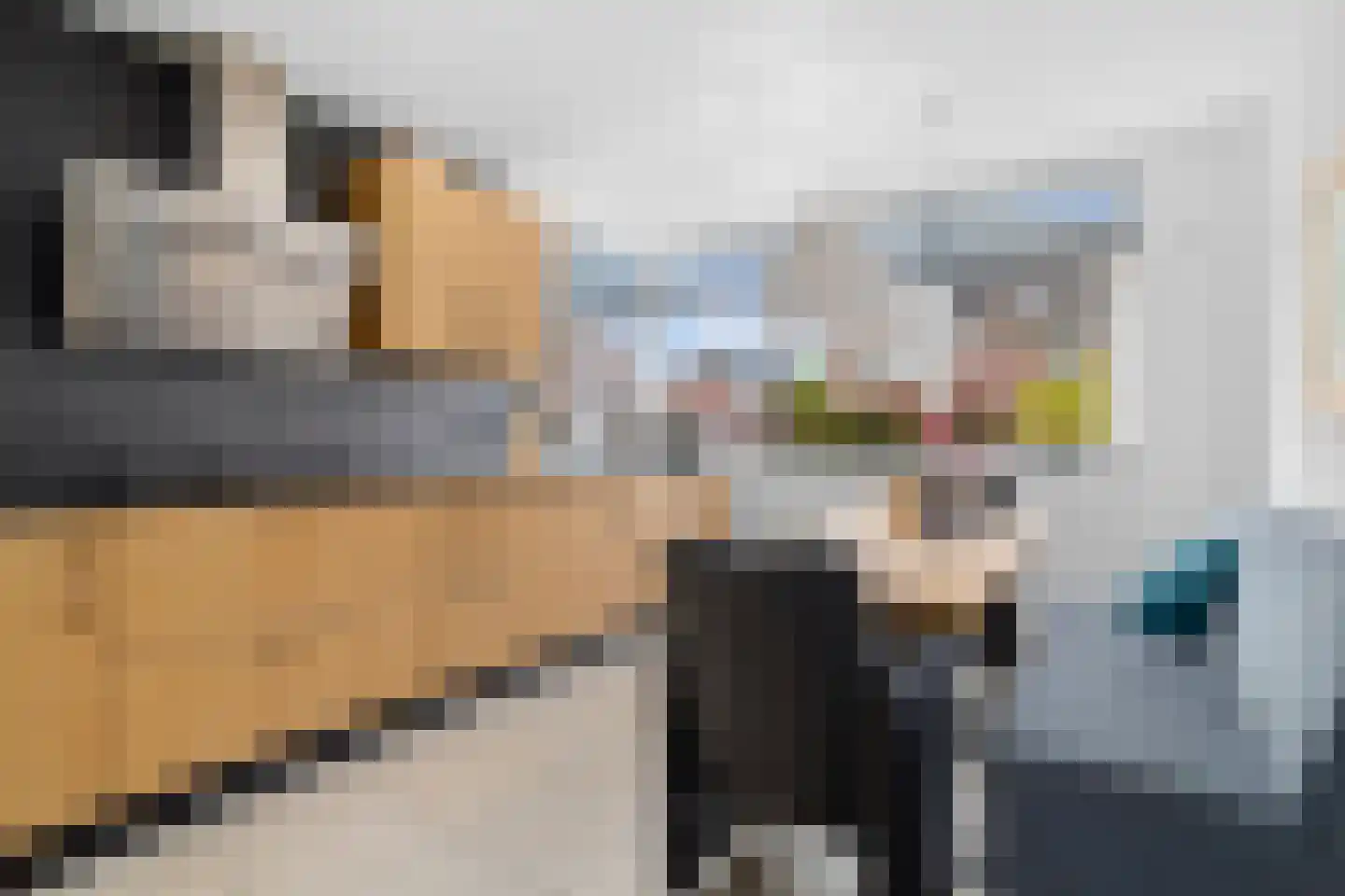 Dopheide 6 Limmen thumbnail 16