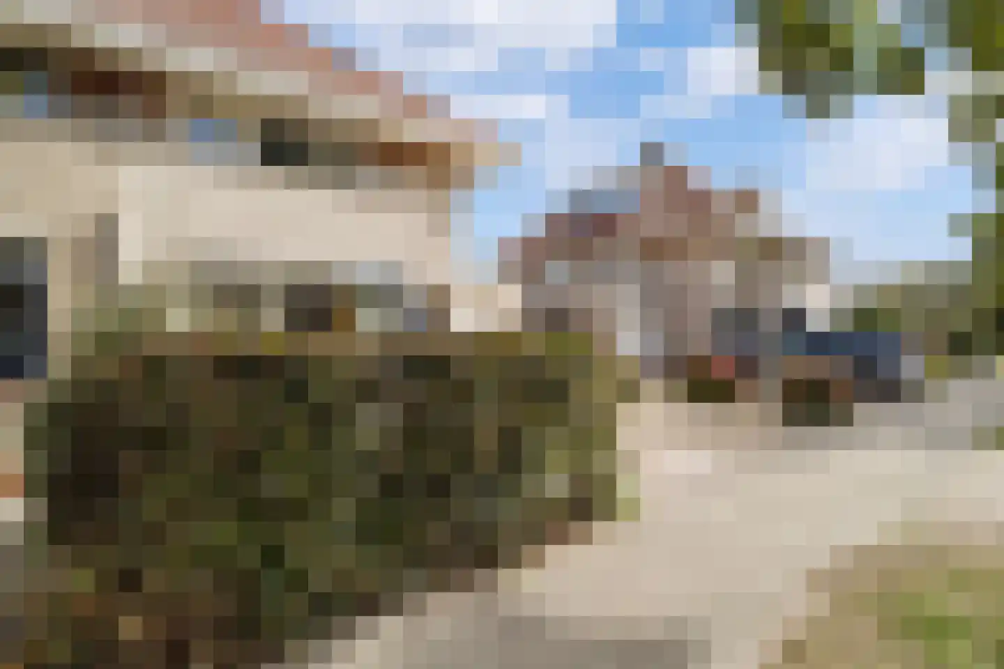 Dopheide 6 Limmen foto 2