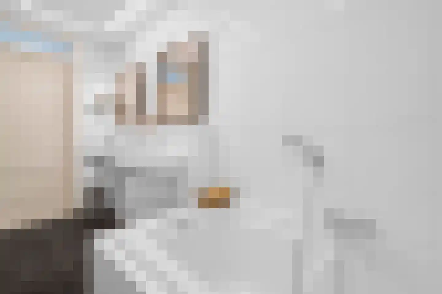Dopheide 6 Limmen thumbnail 25