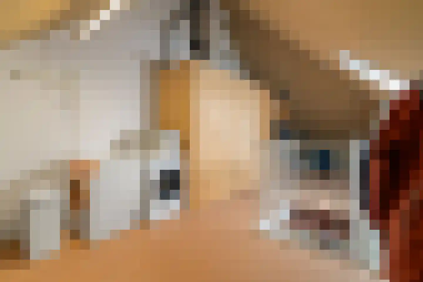 Dopheide 6 Limmen thumbnail 32