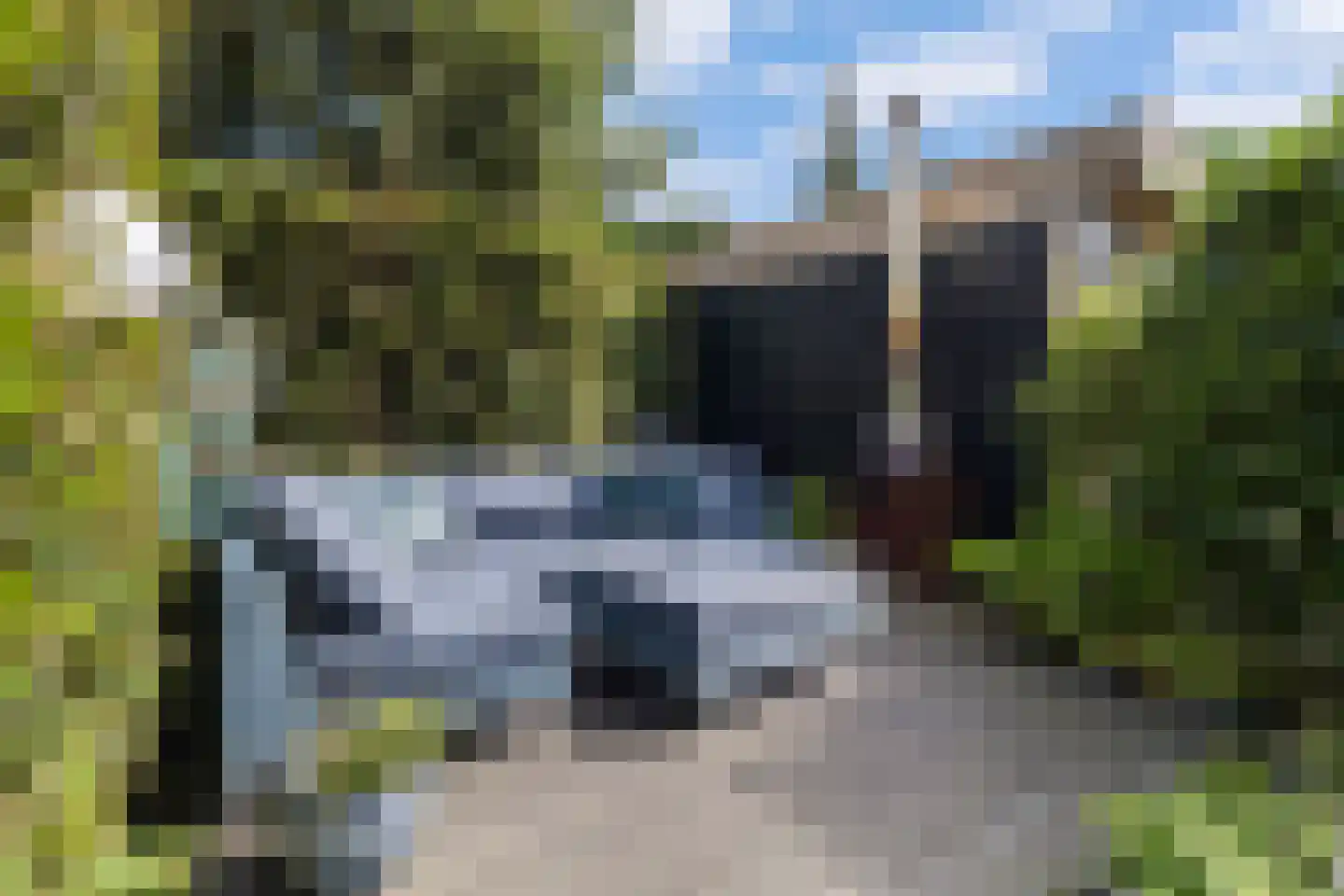 Dopheide 6 Limmen thumbnail 38