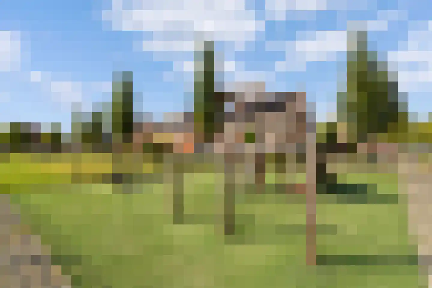 Dopheide 6 Limmen thumbnail 42