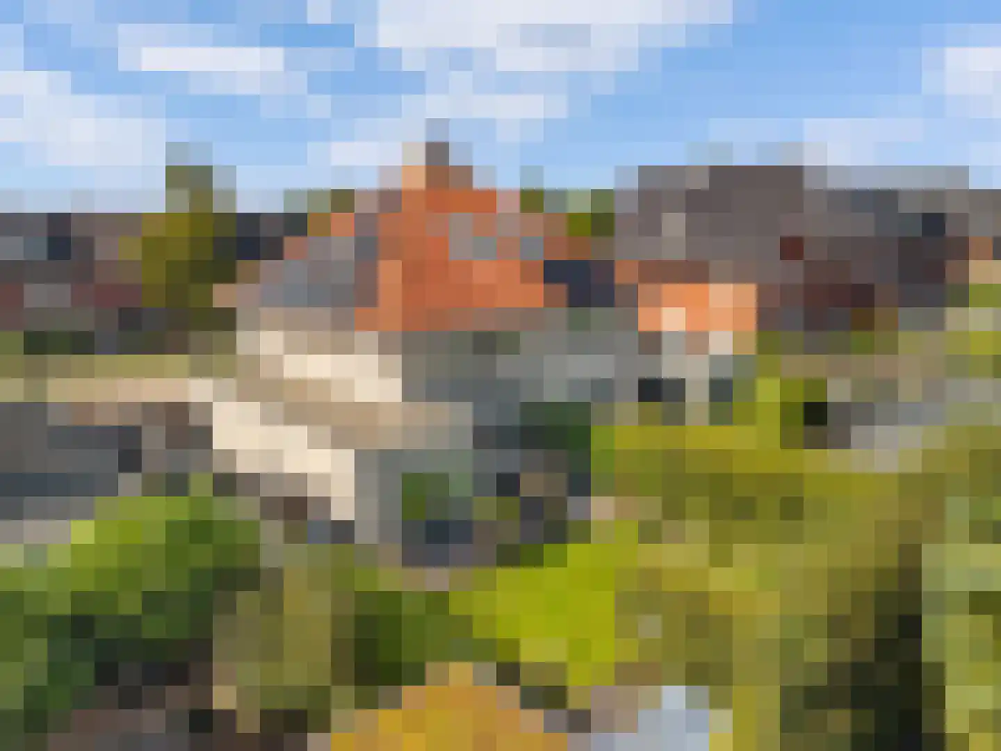 Dopheide 6 Limmen thumbnail 44