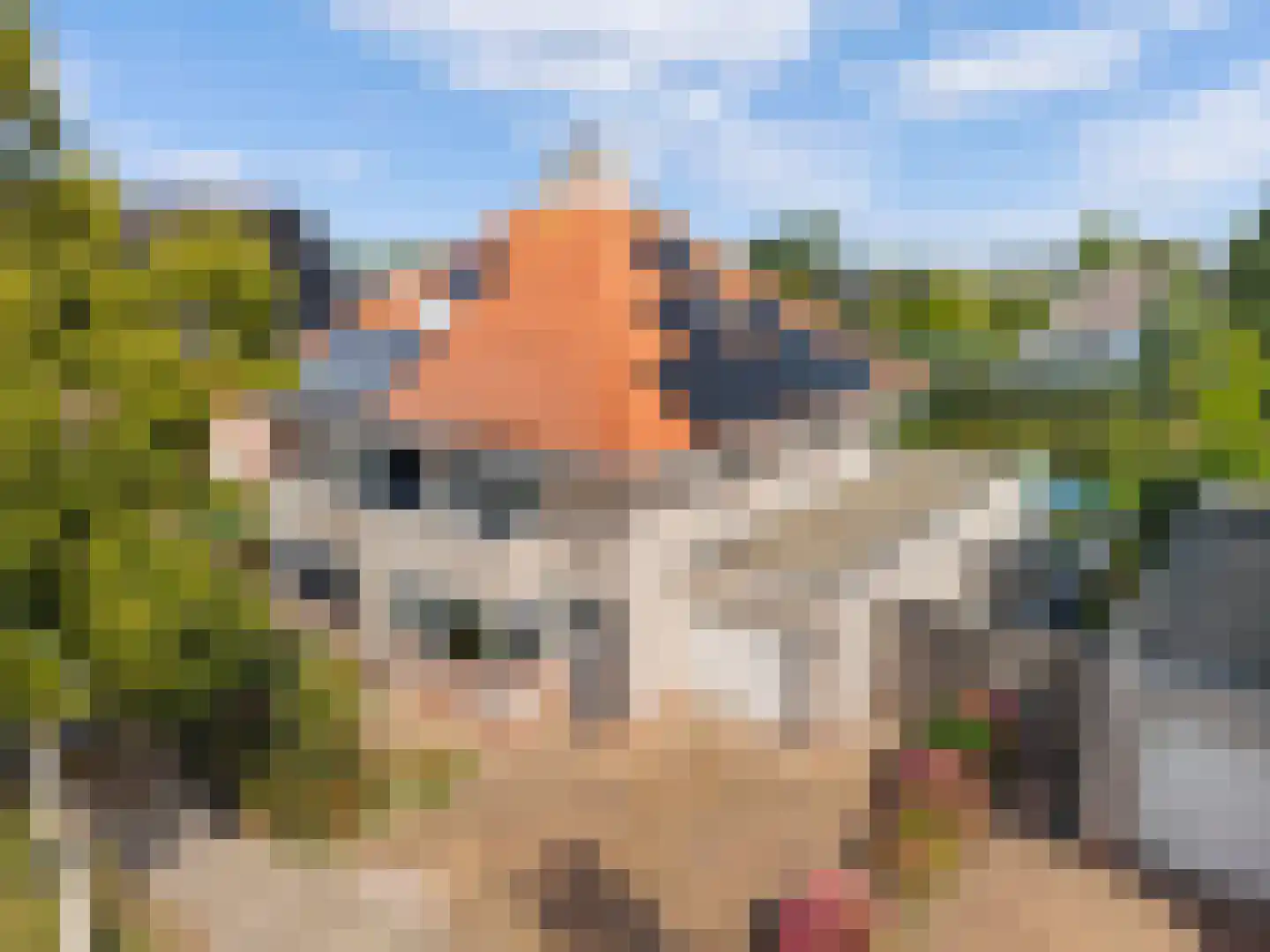 Dopheide 6 Limmen thumbnail 45